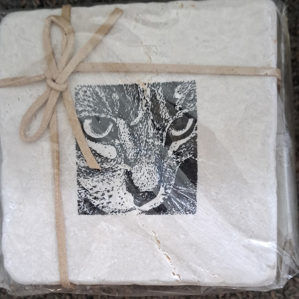 Marble coasters cat